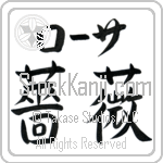 Rosa With Meaning Rose (BR0174HKLB_F3013HB3A)