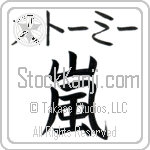 Stormy With Meaning Storm (BS0079HKMB_N4003VB1A)
