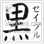Sable With Meaning Black (BS0107VKSF_N4025VB1A)