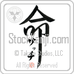Satch Is My Life (BS0512VKC_L5039VD5F)