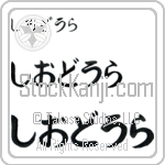 Theodora (BT0041HHC)