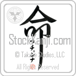 Uchenna Is My Life (BU0051VKC_L5039VD5F)