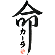 Custom Japanese Tattoo - Life Design