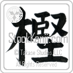 Oak (kashi) (VB1B)