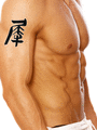 Japanese Rhinoceros Tattoo by Master Japanese Calligrapher Eri Takase