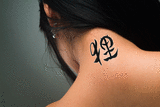 Japanese Raccoon Dog Tattoo by Master Japanese Calligrapher Eri Takase