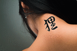 Japanese Raccoon Dog Tattoo by Master Japanese Calligrapher Eri Takase