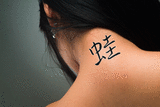 Japanese Frog Tattoo by Master Japanese Calligrapher Eri Takase