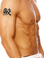 Japanese Shark Tattoo by Master Japanese Calligrapher Eri Takase