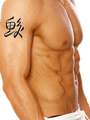 Japanese Shark Tattoo by Master Japanese Calligrapher Eri Takase