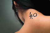 Japanese Harmony Tattoo by Master Japanese Calligrapher Eri Takase
