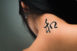 Japanese Harmony Tattoo by Master Japanese Calligrapher Eri Takase