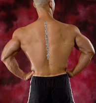 Japanese Fortune Favors The Brave Tattoo by Master Japanese Calligrapher Eri Takase