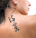 Japanese Meteor Tattoo by Master Japanese Calligrapher Eri Takase