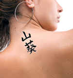 Japanese Wasabi Tattoo by Master Japanese Calligrapher Eri Takase