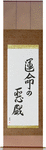 Whim of Fate Japanese Scroll by Master Japanese Calligrapher Eri Takase