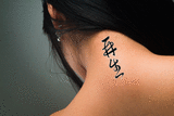 Japanese Rebirth Tattoo by Master Japanese Calligrapher Eri Takase