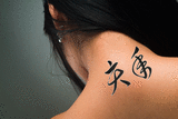 Japanese Year of the Boar Tattoo by Master Japanese Calligrapher Eri Takase