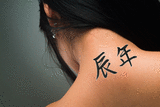 Japanese Year of the Dragon Tattoo by Master Japanese Calligrapher Eri Takase