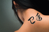 Japanese Year of the Snake Tattoo by Master Japanese Calligrapher Eri Takase